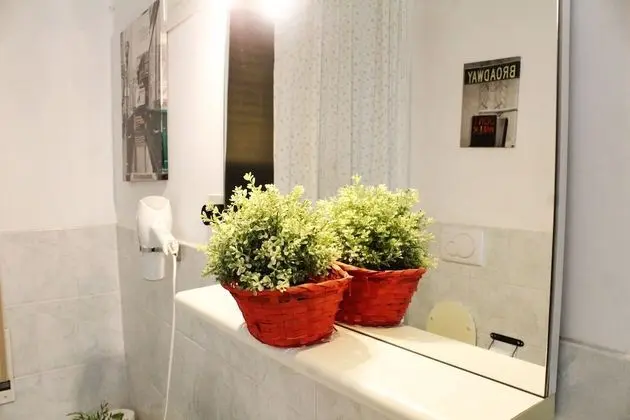 Superior Tek Büyük Yataklı Oda, Özel Banyo