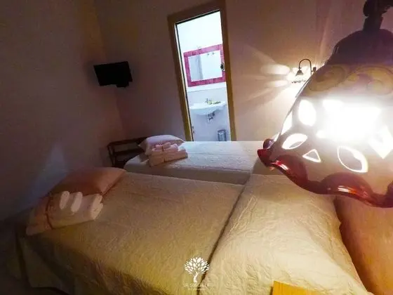 Tek Büyük veya İki Ayrı Yataklı Oda, Özel Banyo (Orchidea)