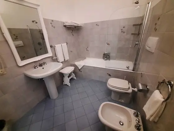 Standard Tek Büyük Yataklı Oda, 1 Çift Kişilik Yatak