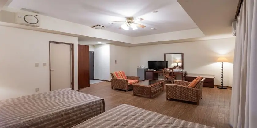 Deluxe İki Ayrı Yataklı Oda (hot spring fee included)