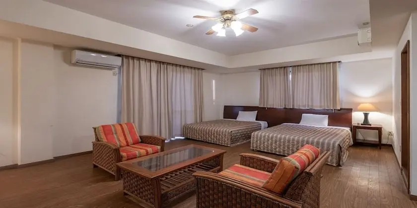 Deluxe İki Ayrı Yataklı Oda (hot spring fee included)