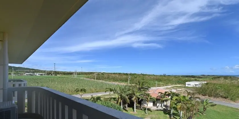 Deluxe İki Ayrı Yataklı Oda (hot spring fee included)