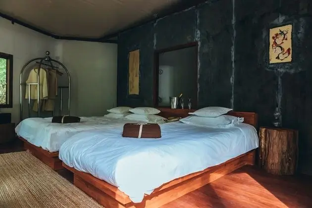 Oda, Sigara İçilmez (Glamping Green Night)