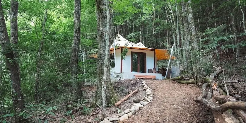 Oda, Sigara İçilmez (Glamping Green Night)