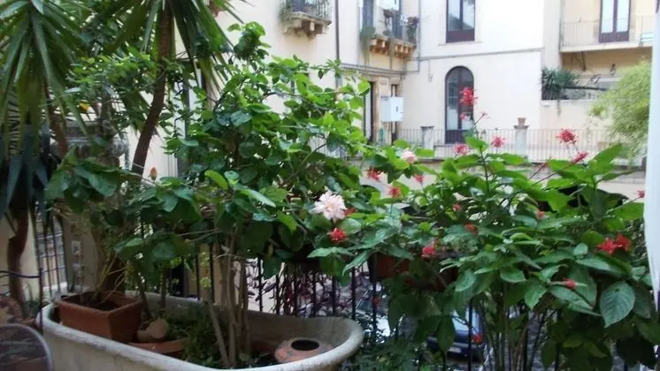 Apart Daire, 2 Yatak Odası, Teras