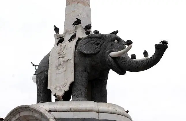 Apart Daire, 2 Yatak Odası, Teras