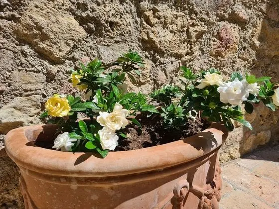 Ev, 3 Yatak Odası, Şömine