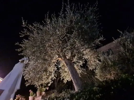 Ev, 3 Yatak Odası, Şömine