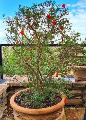 Ev, 3 Yatak Odası, Şömine