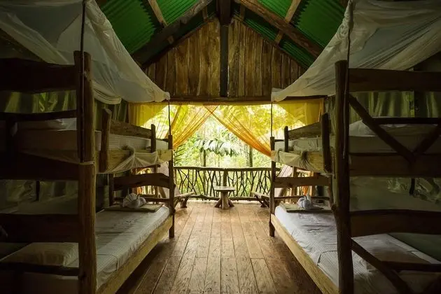 Tent Quadruple (Free Daily Tour Included)