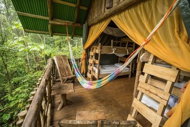 Tent Quadruple (Free Daily Tour Included)