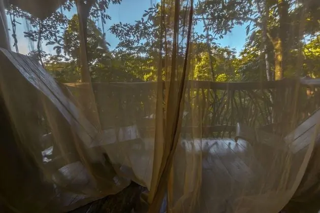 Tent Quadruple (Free Daily Tour Included)