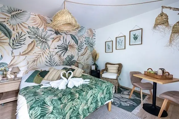 Superior Tek Büyük Yataklı Oda, Banyolu/Duşlu (Chambre Nature)