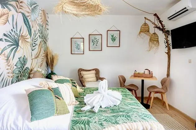 Superior Tek Büyük Yataklı Oda, Banyolu/Duşlu (Chambre Nature)