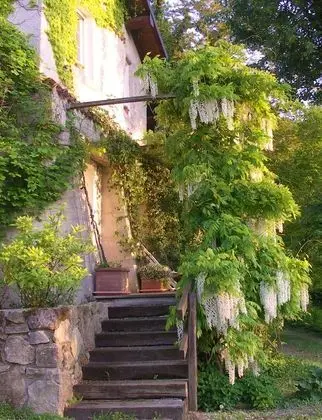 Stüdyo (Casetta del Vecchio Pero)