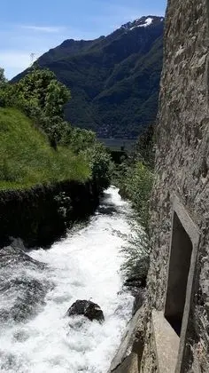 Oda, 1 Yatak Odası, Balkon