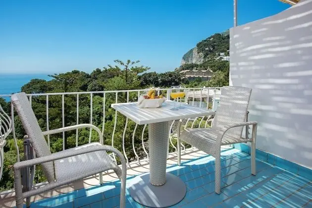Superior Oda, Balkon, Deniz Manzaralı