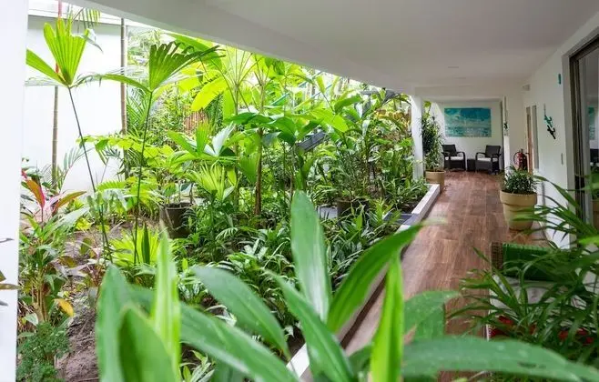 Suite, 1 Bedroom, Terrace, Garden View