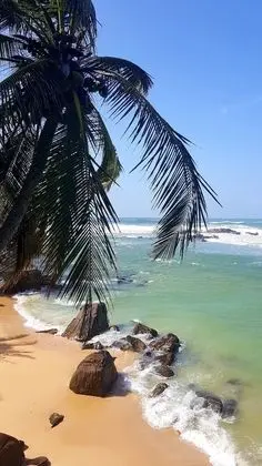 Apart Daire, Deniz Manzaralı