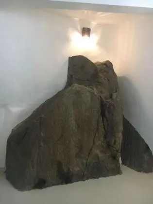 Tek Büyük Yataklı Oda, Özel Banyo