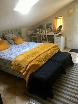 Family Tek Büyük Yataklı Oda, Banyolu/Duşlu (Jacuzzi)