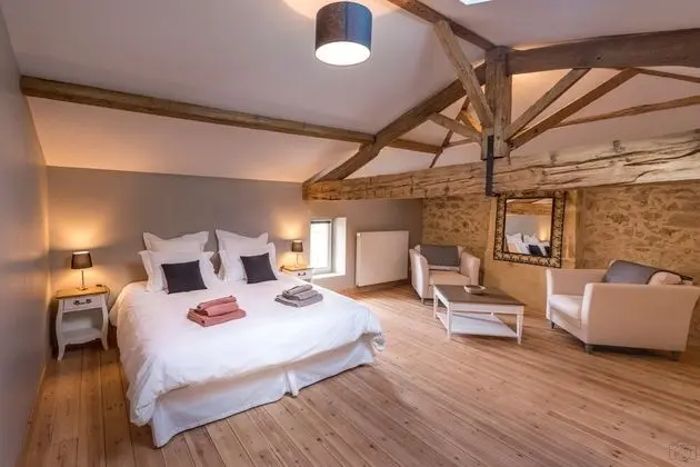 Comfort Tek Büyük Yataklı Oda (La Bardanne)