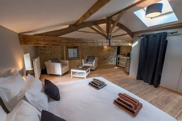 Comfort Tek Büyük Yataklı Oda (La Bardanne)