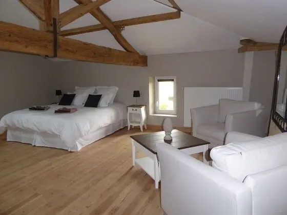 Comfort Tek Büyük Yataklı Oda (La Bardanne)