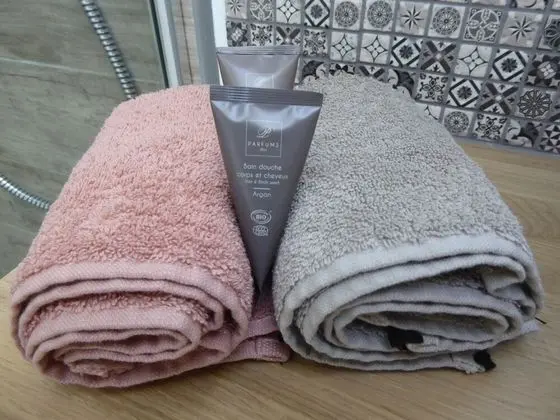 Comfort Tek Büyük Yataklı Oda (La Bardanne)