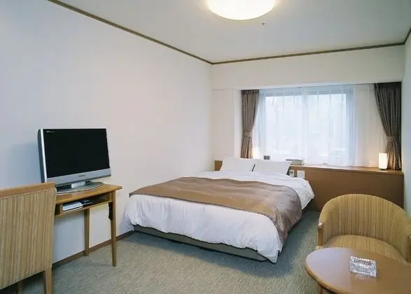 Tek Büyük Yataklı Oda, Sigara İçilebilir (Moderate - 15.8sqm)