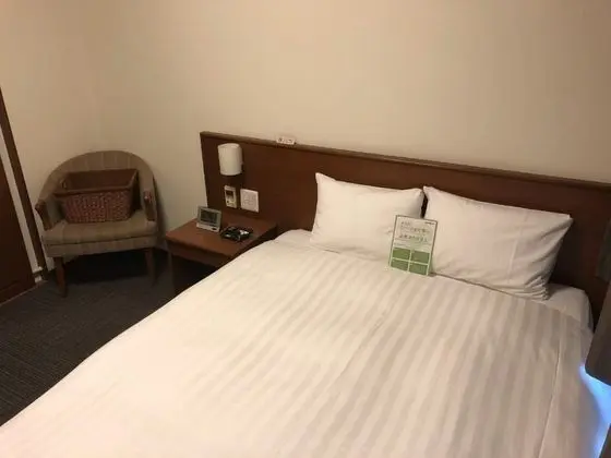 Tek Büyük Yataklı Oda, Sigara İçilebilir (Moderate - 15.8sqm)