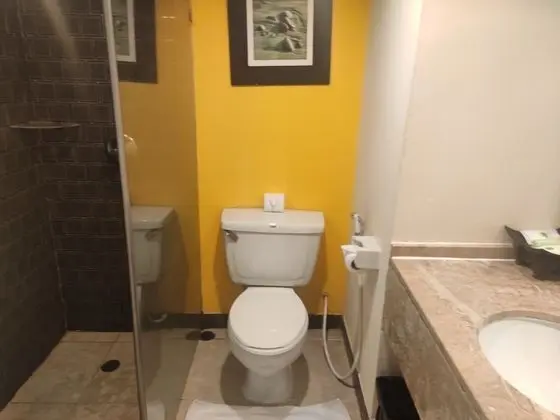 Superior Tek Büyük veya İki Ayrı Yataklı Oda