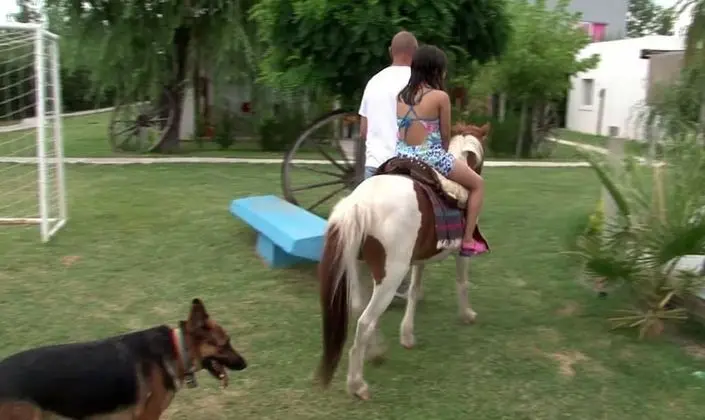 Comfort Kulübe, 1 Yatak Odası