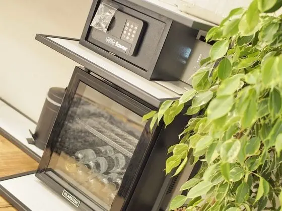 Deluxe Tek Büyük Yataklı Oda (1)