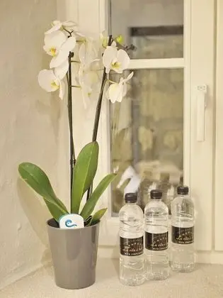 Deluxe Tek Büyük Yataklı Oda (2)