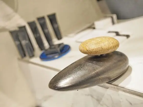 Deluxe Tek Büyük Yataklı Oda (3)