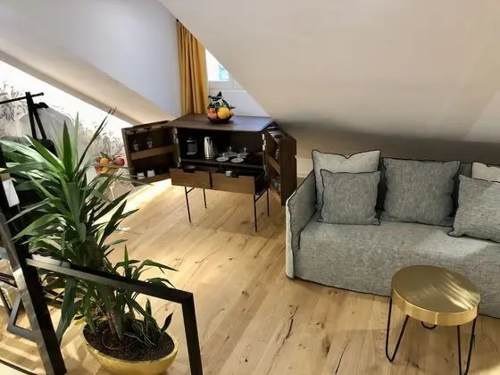 Premium Tek Büyük Yataklı Oda