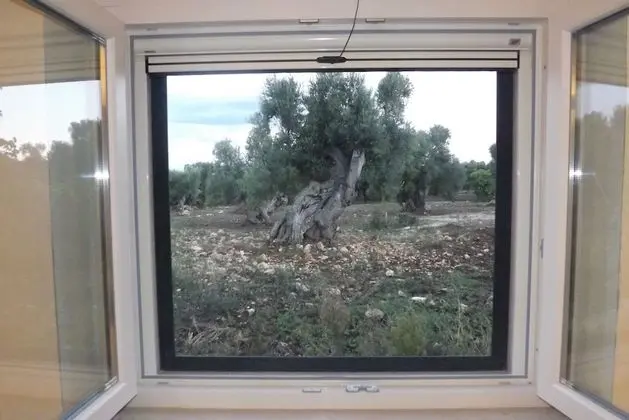 Tek Büyük Yataklı Oda, 1 Büyük (Queen) Boy Yatak, Avlu Manzaralı