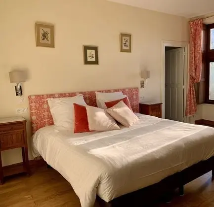 Tek Büyük Yataklı Oda, Banyolu/Duşlu, Park Manzaralı (Chambre Rose)