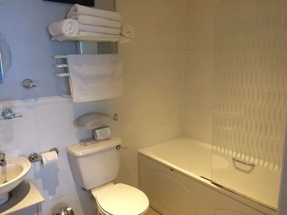 Tek Büyük Yataklı Oda, Banyolu/Duşlu (King Bed & Single Bed)