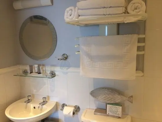 Tek Büyük Yataklı Oda, Banyolu/Duşlu (King Bed & Single Bed)
