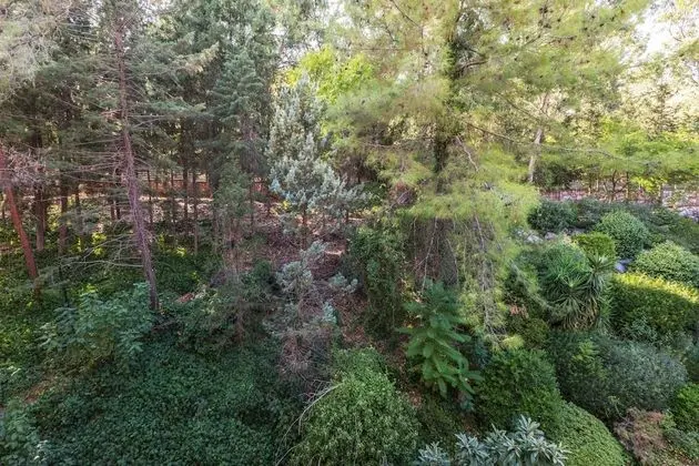 Standard Double Room Land View