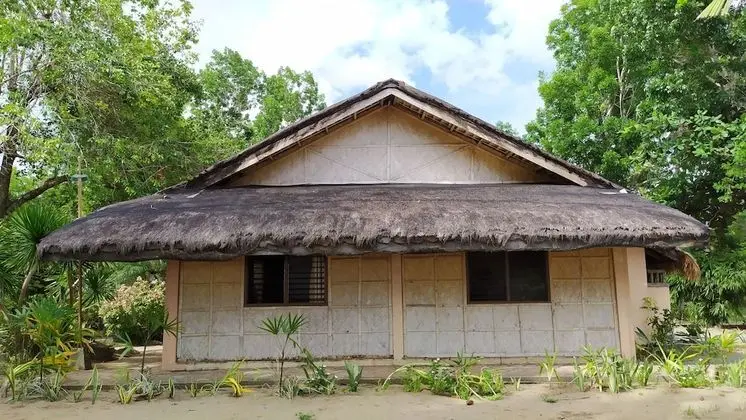 Traditional Oda (Duhat)