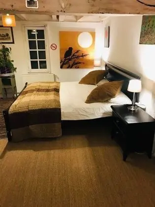 Deluxe Tek Büyük Yataklı Oda (with shower)