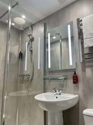 Tek Büyük Yataklı Oda, Banyolu/Duşlu (Four Poster)