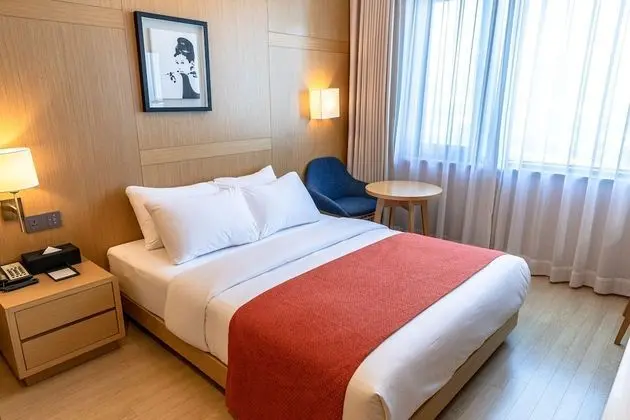 Standard Tek Büyük Yataklı Oda, Şehir Manzaralı