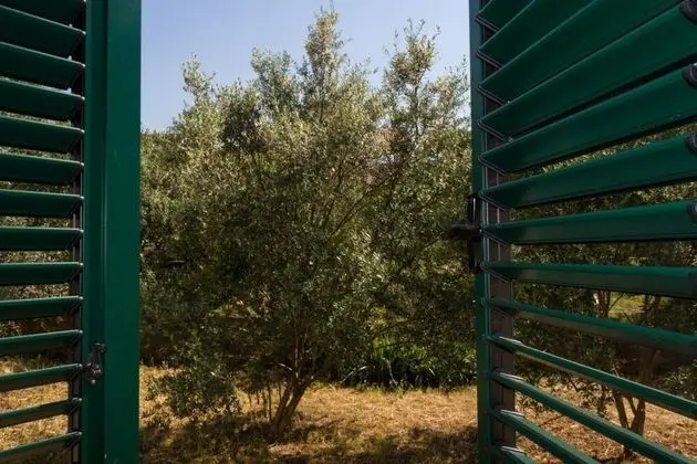 Ev (Lada - 100 m from beach - H(4+2))