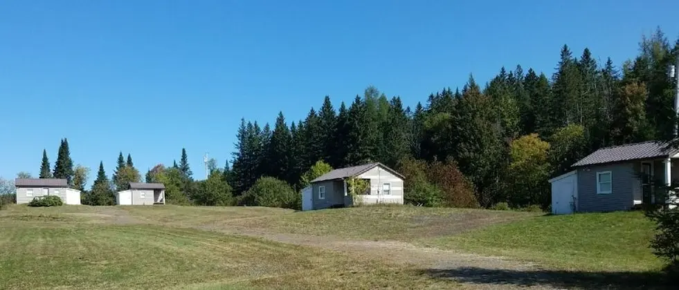 Basic Kulübe