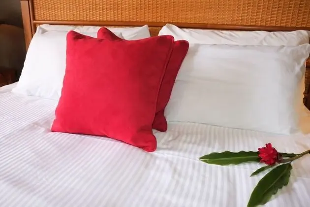 Deluxe Tek Büyük Yataklı Oda, 1 En Büyük (King) Boy Yatak