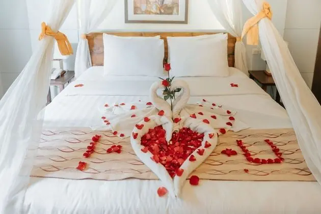 Villa, 1 Yatak Odası